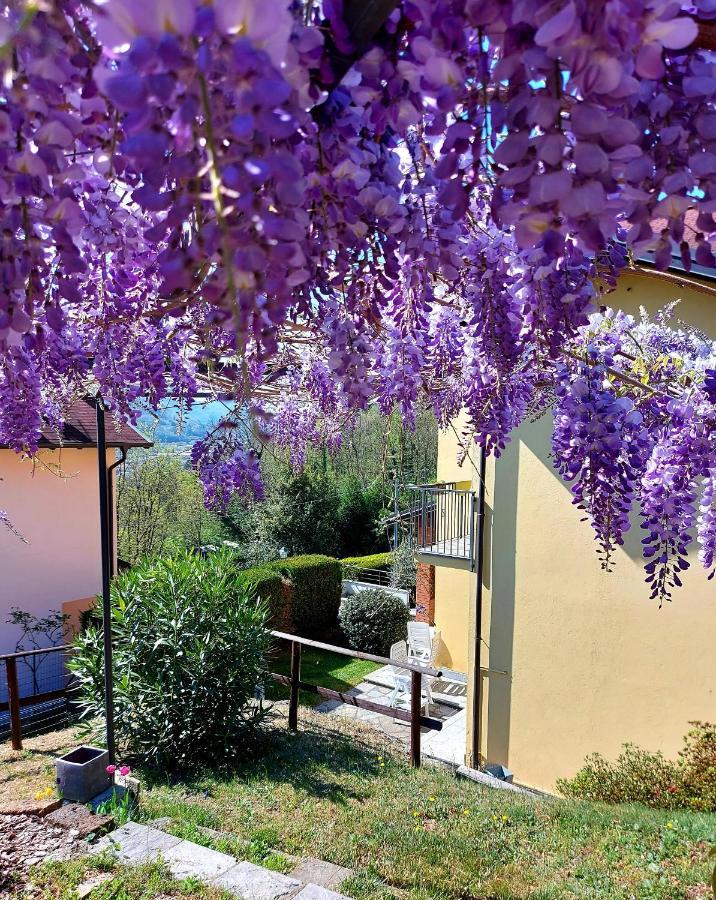 Casa Vacanza Il Glicine Casale Corte Cerro Luaran gambar